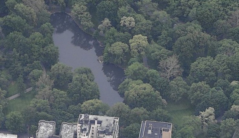 central park: central park the pool